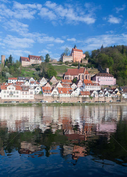 Town of Hirschhorn Hesse Germany Stock photo © backyardproductions