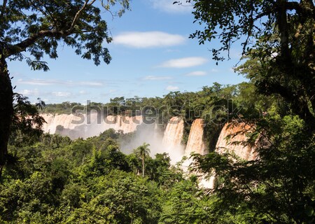 River leading to Iguassu Falls Stock photo © backyardproductions
