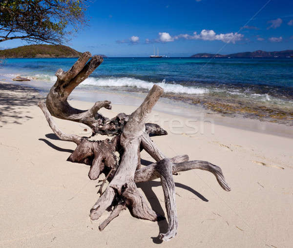 Hawksnest Bay on St John Stock photo © backyardproductions