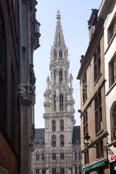 Brussels City Hall through narrow streets Stock photo © backyardproductions