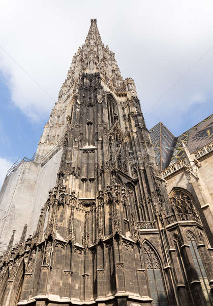 St Stephens Cathedral in Vienna Stock photo © backyardproductions