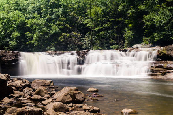 Two of the waterfalls at High Falls of Cheat Stock photo © backyardproductions