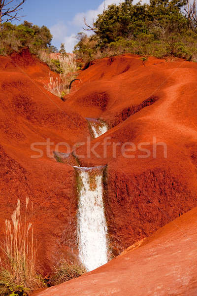 Water cascades in Waimea Canyon Stock photo © backyardproductions