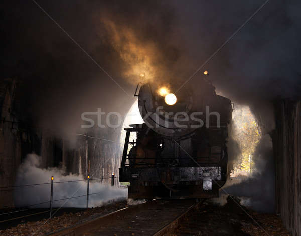 Stoomlocomotief tunnel oude stoom trein Stockfoto © backyardproductions