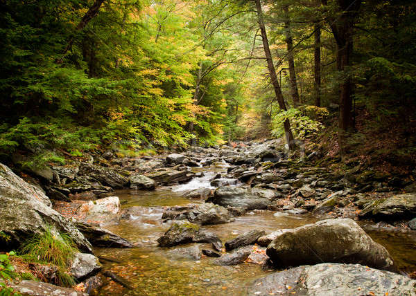 Water rushing down river Stock photo © backyardproductions