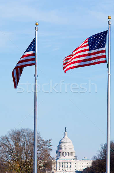 Washington Capitol Stock photo © backyardproductions