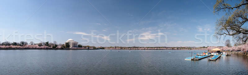 Panorama of Tidal basin with cherry blossoms Stock photo © backyardproductions