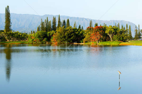 Na Pali mountains and lake Stock photo © backyardproductions