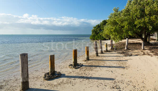 Florida Keys Anne's Beach Stock photo © backyardproductions