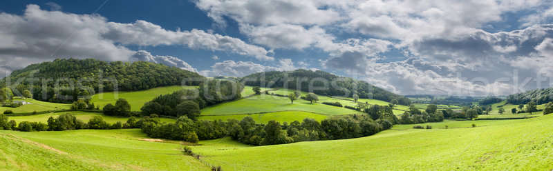 Panorama of welsh countryside Stock photo © backyardproductions