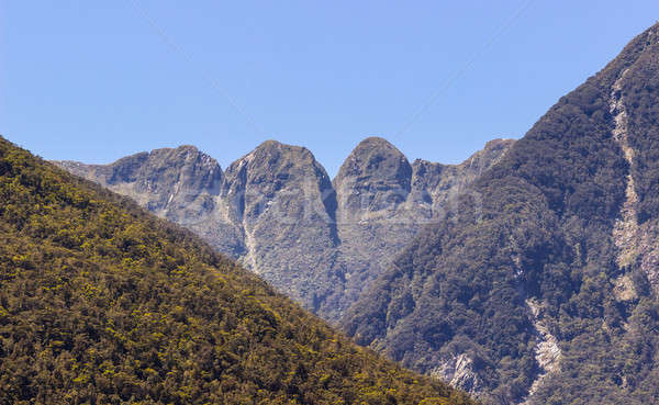 Fjord of Doubtful Sound in New Zealand Stock photo © backyardproductions