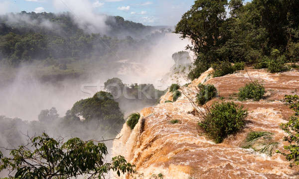 River leading to Iguassu Falls Stock photo © backyardproductions