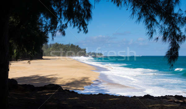 Powerful waves flow onto sand at Lumahai Beach, Kauai Stock photo © backyardproductions
