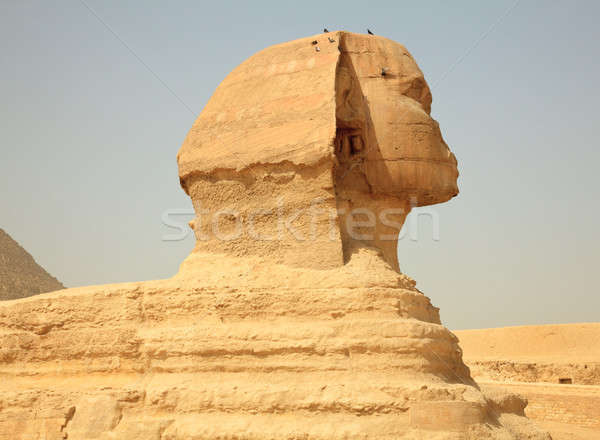 Zdjęcia stock: Piramidy · w · Gizie · Egipt · widoku · giza · Kair · niebo