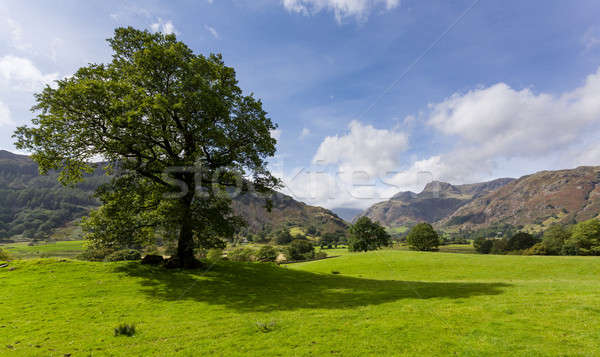 Stock photo: Langdale Pikes in Lake District