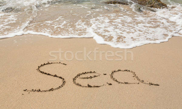 Drawing in sand by ocean of Sea word Stock photo © backyardproductions