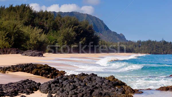 Lumahai beach in Kauai Stock photo © backyardproductions