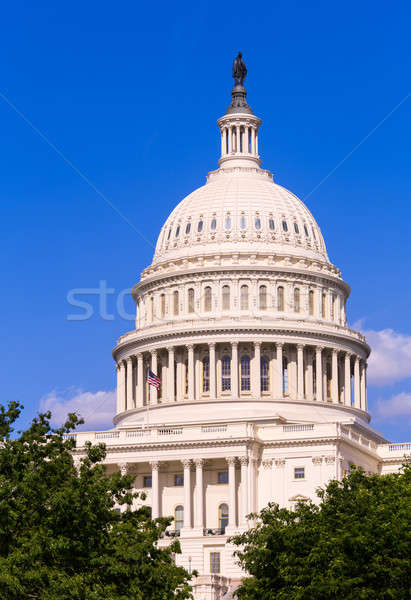Cúpula edifício Washington DC congresso EUA Foto stock © backyardproductions