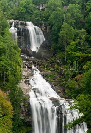 North Carolina Wasserfall östlichen Saphir Wald rock Stock foto © backyardproductions