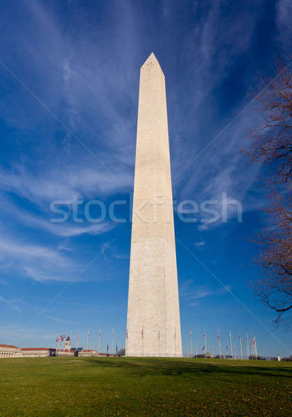 Wide angle vedere Monumentul Washington iarnă zi cer Imagine de stoc © backyardproductions