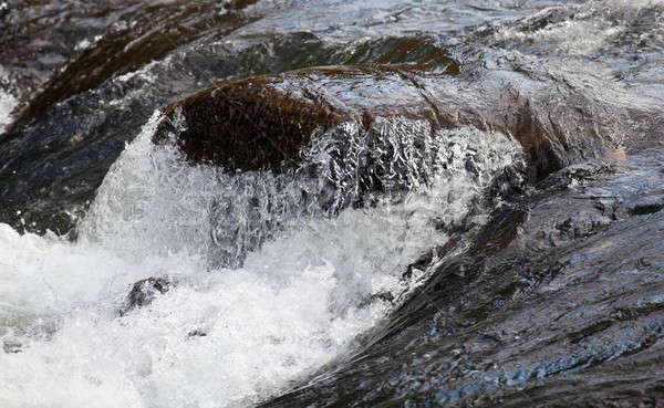 Rushing river over waterfall Stock photo © backyardproductions