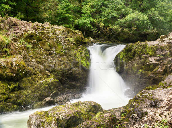 Сток-фото: водопада · Озерный · край · зеленый · мох · замедлять · движения