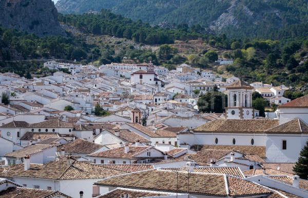 Famous old hilltown of Grazalema in Andalucia Stock photo © backyardproductions