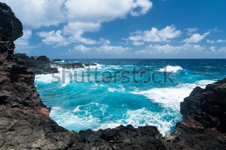 Waves hit rocks at Queens Bath Kauai Stock photo © backyardproductions