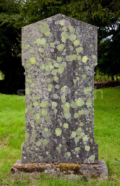 Edad graves marcador musgo vista cubierto Foto stock © backyardproductions