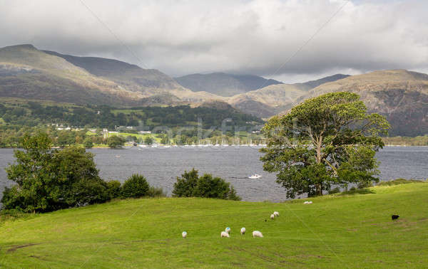 Víz Lake District kilátás angol tájkép zöld Stock fotó © backyardproductions