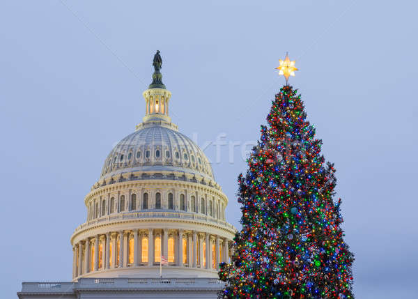 árvore de natal Washington DC cedo noite sol edifício Foto stock © backyardproductions