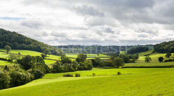 Panorama of welsh countryside Stock photo © backyardproductions
