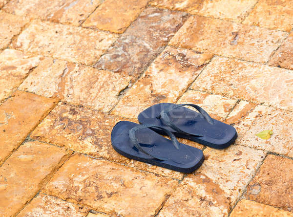 Discarded flipflops on paved deck by pool Stock photo © backyardproductions