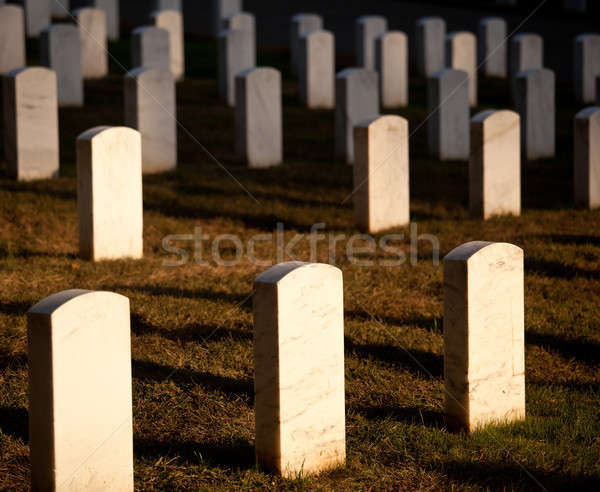 Row of grave stones in Arlington Stock photo © backyardproductions