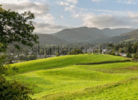 Kilátás mezők Lake District birka mezők este Stock fotó © backyardproductions