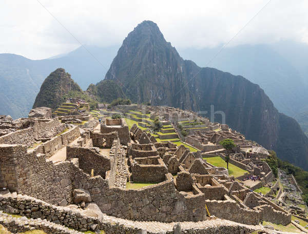 Machu Picchu Region Peru Morgen Nebel Landschaft Stock foto © backyardproductions