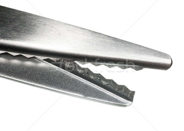 Macro pinking shears or scissors Stock photo © backyardproductions