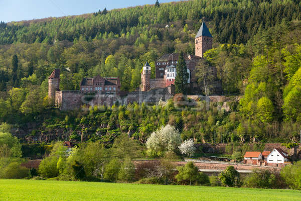 Castle at Zwingenberg in Germany Stock photo © backyardproductions