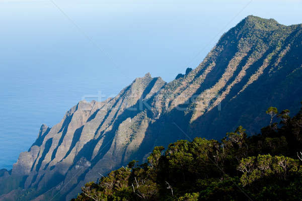 Overview of Na Pali Coast Stock photo © backyardproductions
