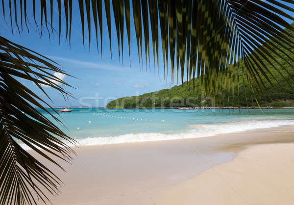 Glorious beach at Anse Marcel on St Martin Stock photo © backyardproductions