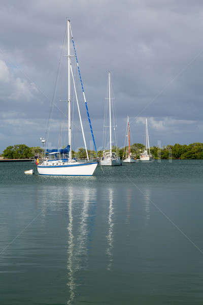 Yachts moored in no name harbor florida Stock photo © backyardproductions