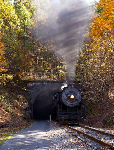 Stoomlocomotief tunnel oude stoom trein Stockfoto © backyardproductions