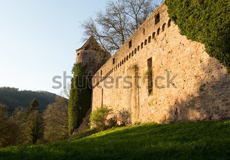 Archway and gate in old castle wall Stock photo © backyardproductions