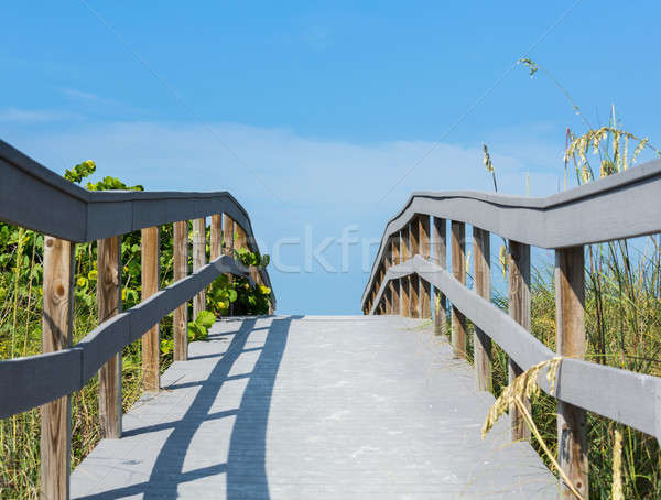 Boardwalk among sea oats to beach in Florida Stock photo © backyardproductions