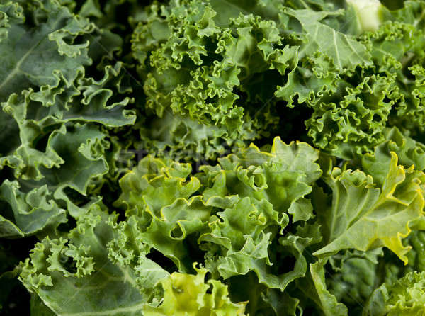 Macro shot of Kale Stock photo © backyardproductions