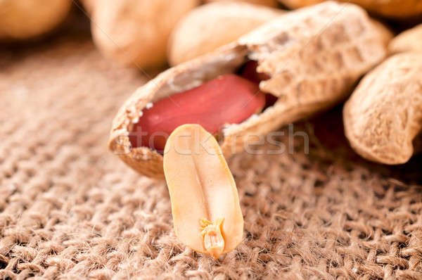 Shell peanuts Stock photo © badmanproduction