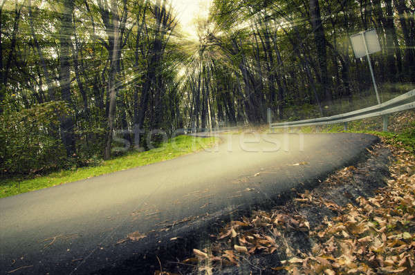 Route nature forêt personne coucher du soleil paysage [[stock_photo]] © badmanproduction