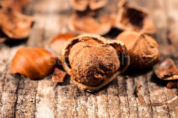 Hazelnut macro Stock photo © badmanproduction