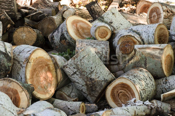 Cuted Stock Photos Stock Images And Vectors Stockfresh