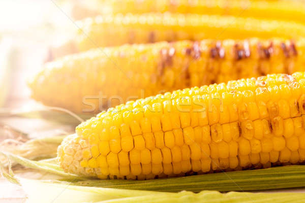 Yellow corn Stock photo © badmanproduction